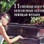 11 способов облегчения болезненных состояний с помощью музыки