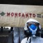 Monsanto: паразиты несут ГМО в Европу