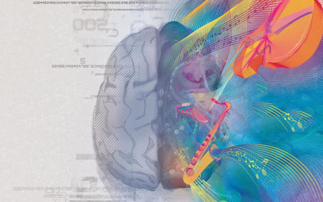 Полушария мозга и волны мозговой активности