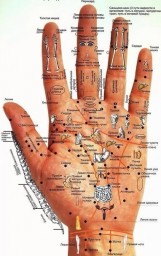 Определение болезней по рукам человека