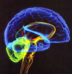 7 причин слабой мозговой активности