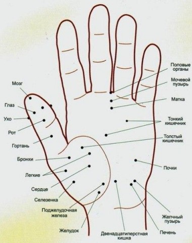 Важные точки на руках