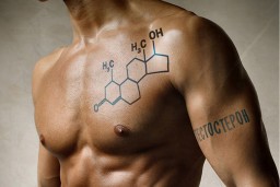 Продукты, которые понижают выработку тестостерона у мужчин