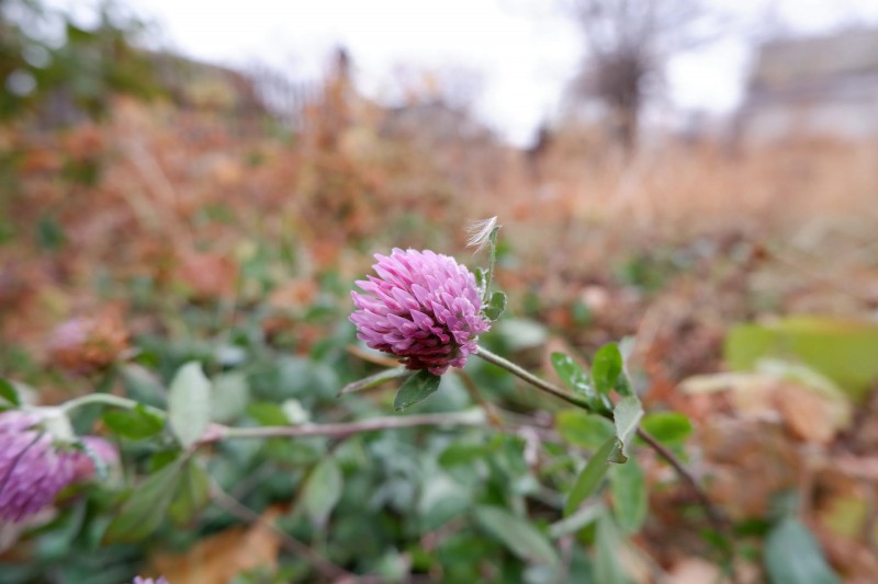 Условности Ни помеха Естеству Условности Ни помеха Естеству
