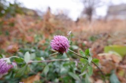 Условности Ни помеха Естеству