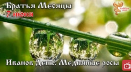 Братья месяцы. Иванов День. Медвяные росы.