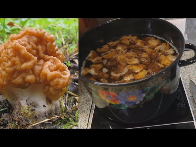 Как размножить и законсервировать строчки натуральным способом