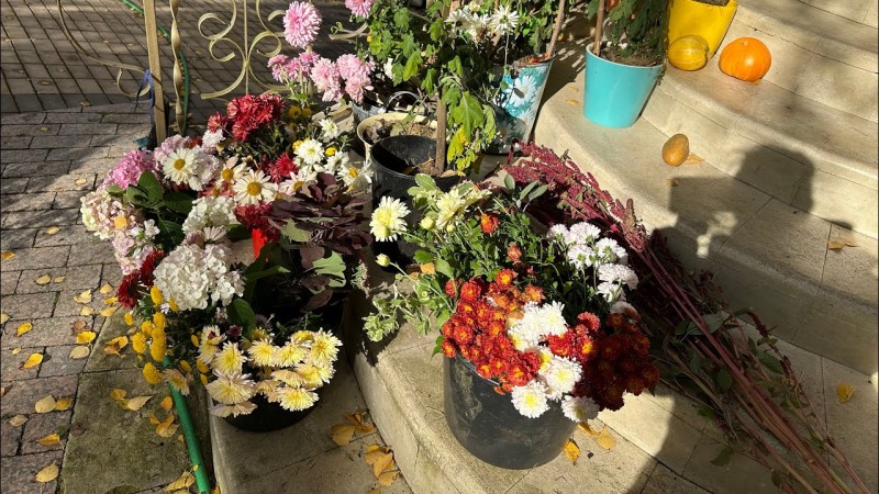 Уютная загородная жизнь на даче . Осенняя пора , море цветов , готовлю завтрак .