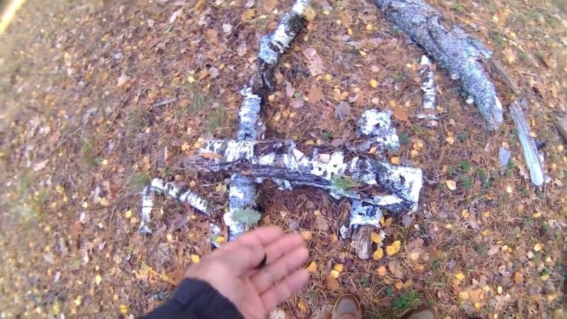 Лисичек не нашел, решил брать мухоморы