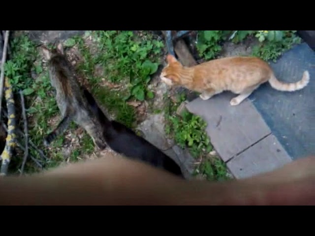 Осмыслия и сдвижки по быту