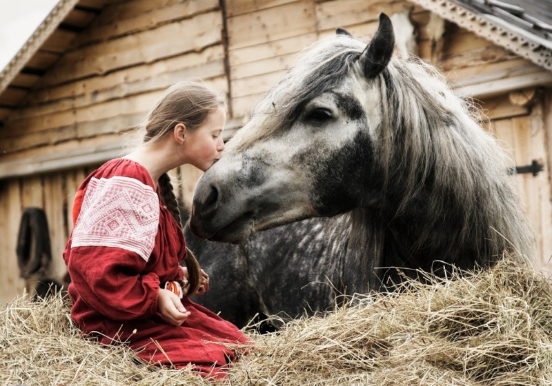 выйду ночью в поле с конем, красивое исполнение, женскими голосами, конь, Любэ