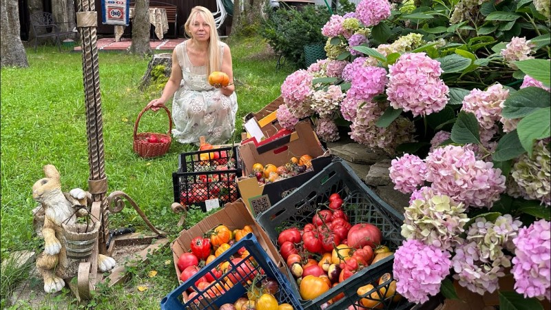 Грядки не копаю и не пропалываю более пяти лет . Урожай достойный. Делюсь опытом.
