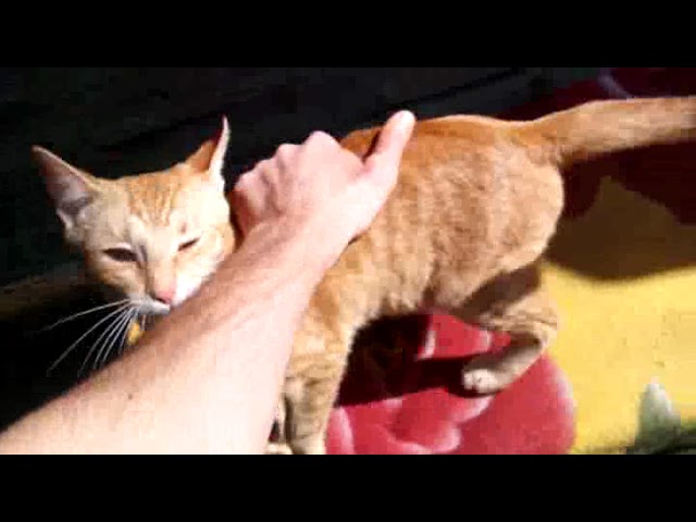 Разные Мысли с Трудами в Быту