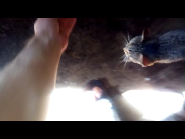 На Подумать, А может - Ни О Чём