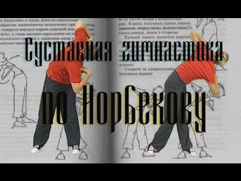 Суставная гимнастика по Норбекову.