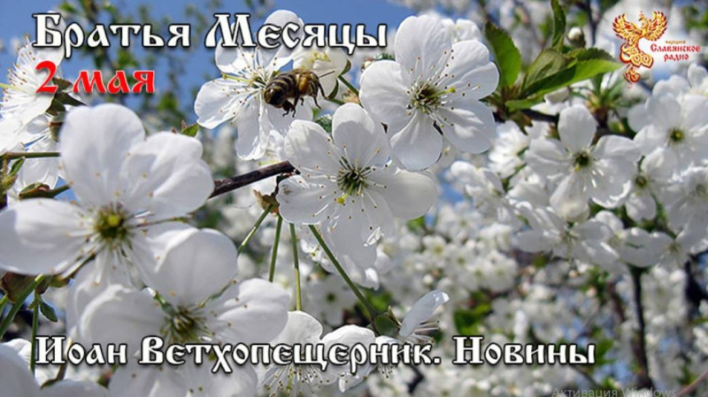 Братья месяцы 2 мая - Иоан Ветхопещерник. Новины