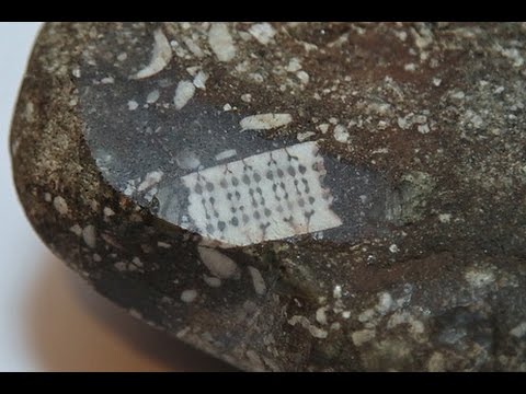 Чипованный булыжник возрастом 500 млн лет