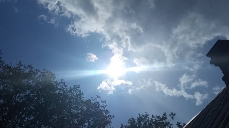 601 Сентямай и сНежное, Туча и Дождик, Фазан и Ёжик