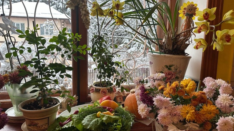 Снегопад в Подмосковье нежданно негаданно. Укрыла почти всё. Первый снег. Незаконченные дела на даче