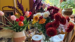 Начало ноября на даче . Дачная жизнь. Подготовка к новому сезону.