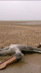 Запретная археология. Запретная навсегда.