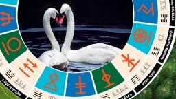 Славянский гороскоп - чертог лебедя с 6 по 27 ноября