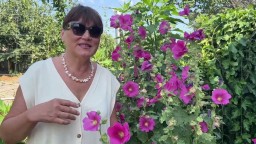 Наш крымский участок в августе