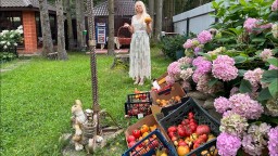 Моя коллекция томатов , моя любовь, вкусное и полезное хобби , маленький бизнес