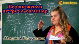 Встреча-семинар Воронеж. Марина Гладилина