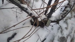 20.01.2026 Такая Погода.