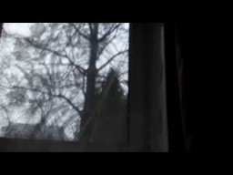 Моё На Сей Момент о Разном