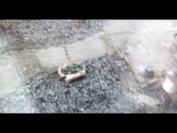 Мысли вслух в ответ на окружающее