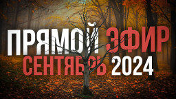 Прямой эфир - Сентябрь 2024