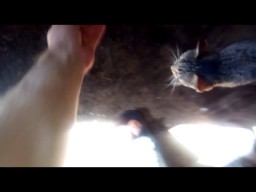 На Подумать, А может - Ни О Чём