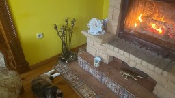 Поговорим о предстоящей посевной. Когда буду сеять томаты и перцы. Почему сею рано. Мои коллекции