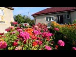 Сад цветов своими руками