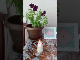 Изымаем фсе сценарии бывшых ваплатнений.....