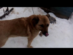 Мысли и Думы о Ныне