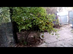 Как Есть О Себе и Ни Более Того