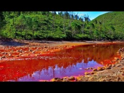 Охота за Белыми грибами на Красной реке