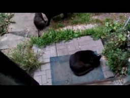 Мудрёжки в Быту и Мысли около