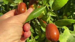 Наш участок в Крыму в сентябре