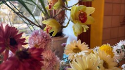 Ноябрь на даче. Обзор проделанной работы.