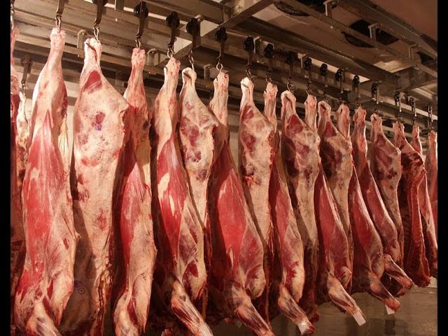 Мясо - убийство животных, планеты, людей