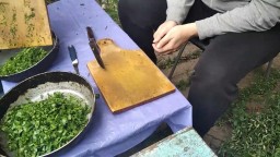25.06.2025 Соратники и Готовка 1.